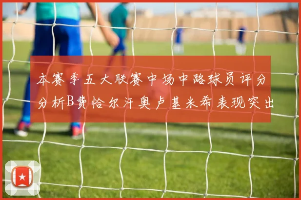本赛季五大联赛中场中路球员评分分析B费恰尔汗奥卢基米希表现突出